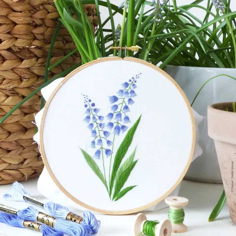Kit broderie traditionnelle Bellevalia, 21 x 21 cm : vue 1