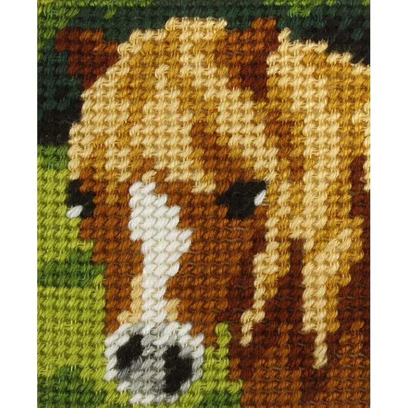 Kit canevas enfant tête de poney, 17 x 20.5 cm : vue 1