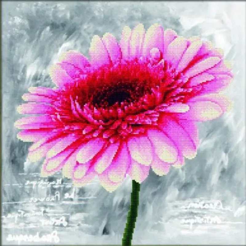 Kit point de croix dahlia rose no count, 43 x 43 cm