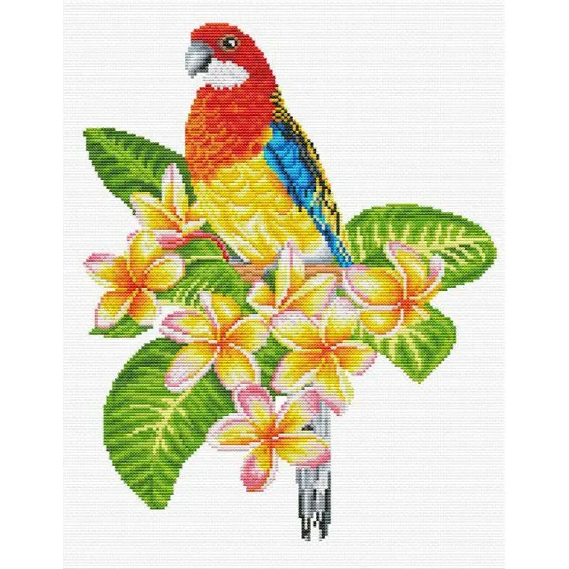 Kit point de croix no count perroquet Rosella, 26 x 32 cm